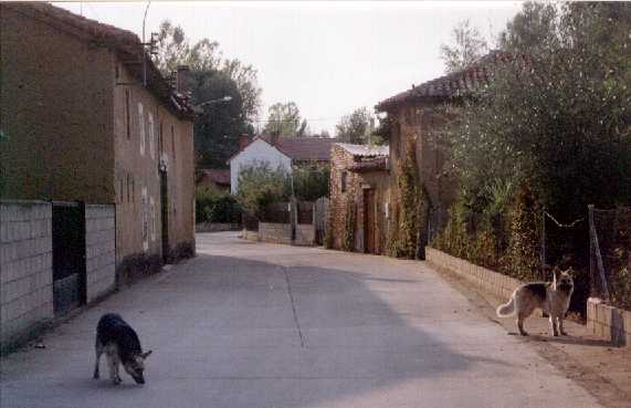 Las casas de Serafn y Demetrio, ambas de tapial